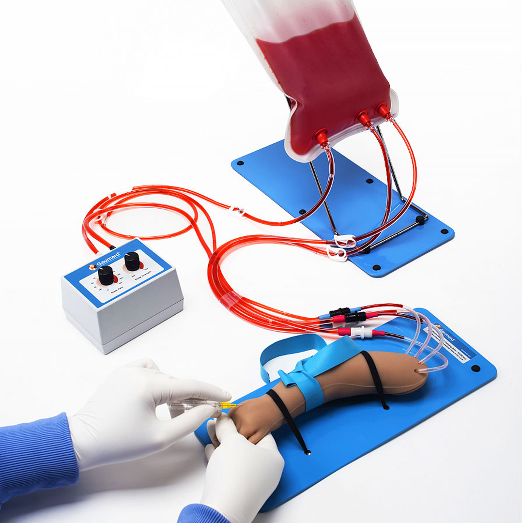 Training arm for intravenous and arterial access in newborns