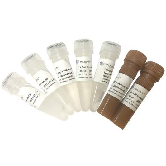 HiScript II One Step qRT-PCR SYBR Green Kit