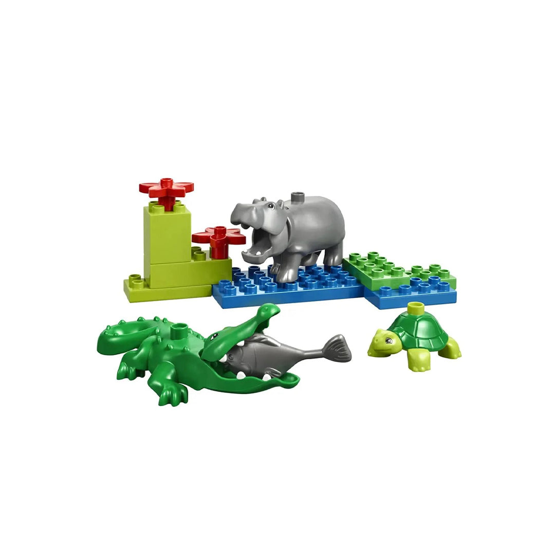 Set de Animales Salvajes